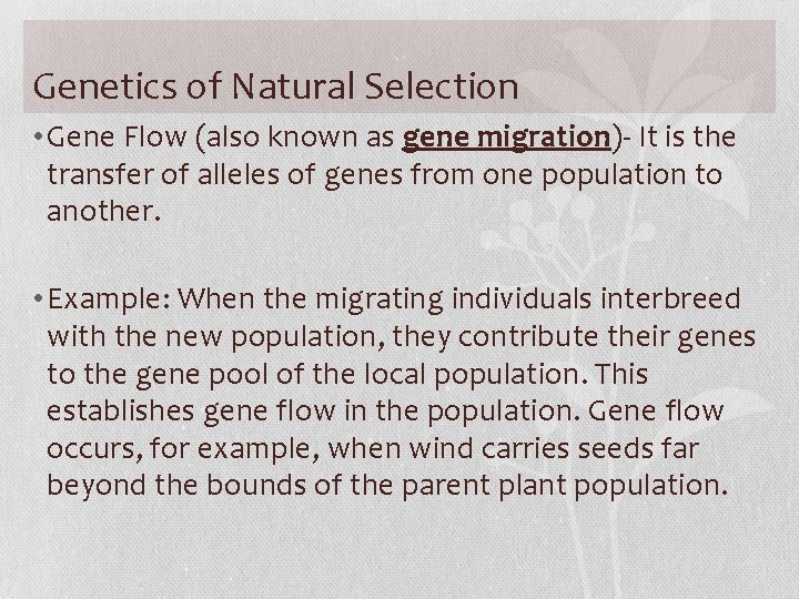 Genetics of Natural Selection • Gene Flow (also known as gene migration)- It is