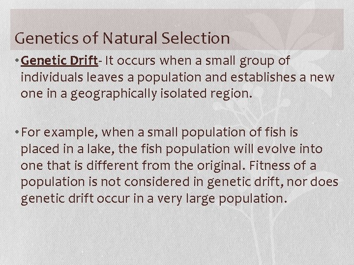 Genetics of Natural Selection • Genetic Drift- It occurs when a small group of