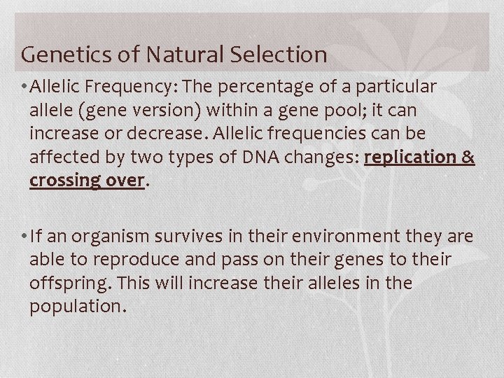 Genetics of Natural Selection • Allelic Frequency: The percentage of a particular allele (gene