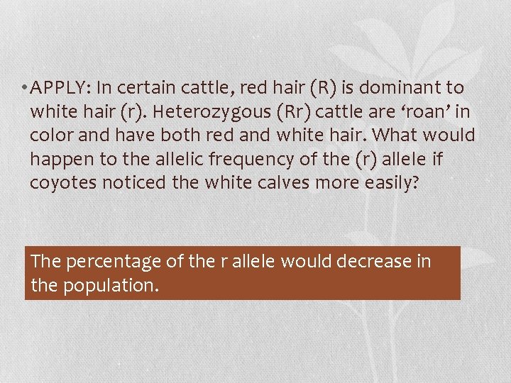  • APPLY: In certain cattle, red hair (R) is dominant to white hair