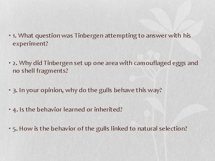  • 1. What question was Tinbergen attempting to answer with his experiment? •