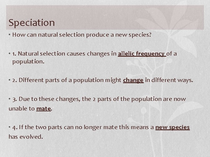 Speciation • How can natural selection produce a new species? • 1. Natural selection