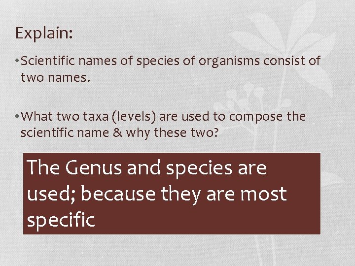 Explain: • Scientific names of species of organisms consist of two names. • What