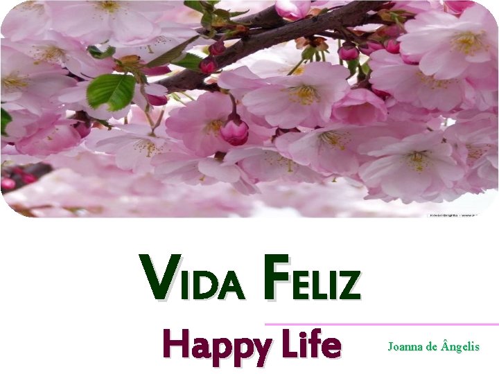 VIDA FELIZ Happy Life Joanna de ngelis 