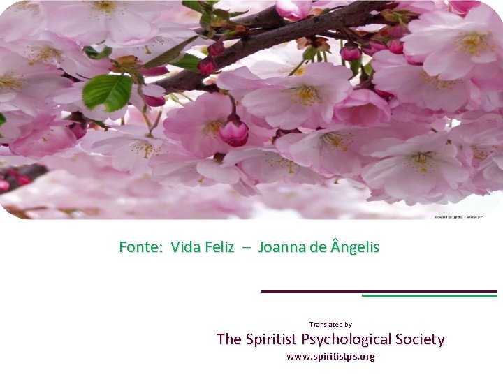 Fonte: Vida Feliz – Joanna de ngelis Translated by The Spiritist Psychological Society www.