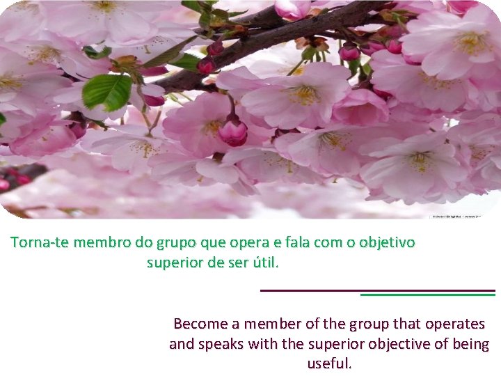 Torna-te membro do grupo que opera e fala com o objetivo superior de ser