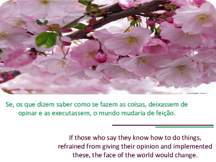 Se, os que dizem saber como se fazem as coisas, deixassem de opinar e