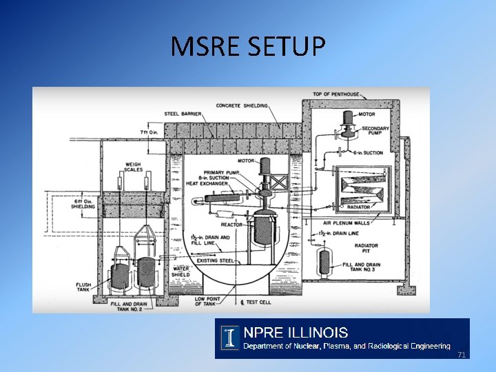MSRE SETUP 71 