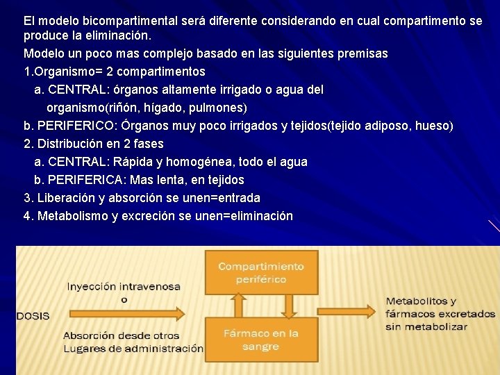 El modelo bicompartimental será diferente considerando en cual compartimento se produce la eliminación. El modelo bicompartimental será diferente considerando en cual compartimento se produce la eliminación.