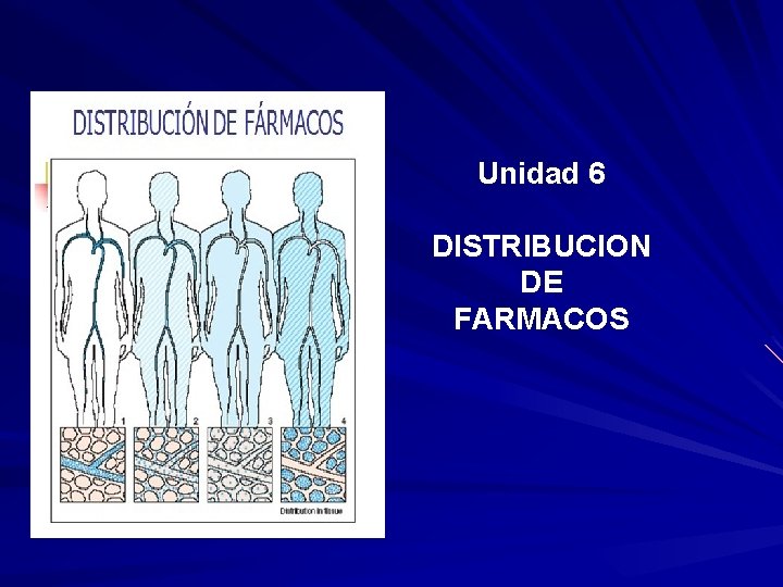 Unidad 6 DISTRIBUCION DE FARMACOS Unidad 6 DISTRIBUCION DE FARMACOS