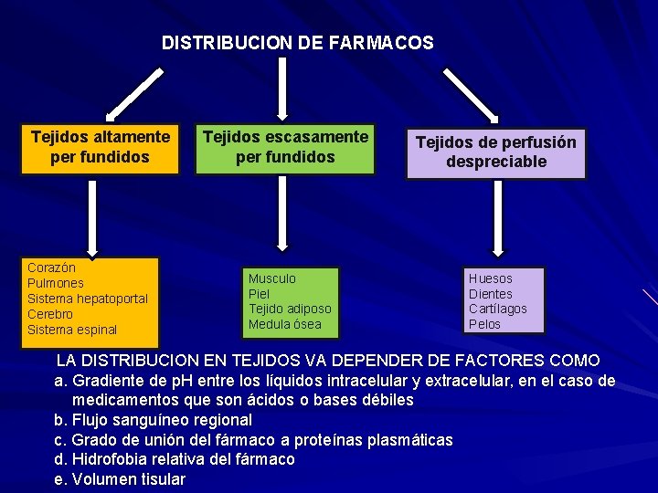  DISTRIBUCION DE FARMACOS Tejidos altamente per fundidos Corazón Pulmones Sistema hepatoportal Cerebro Sistema