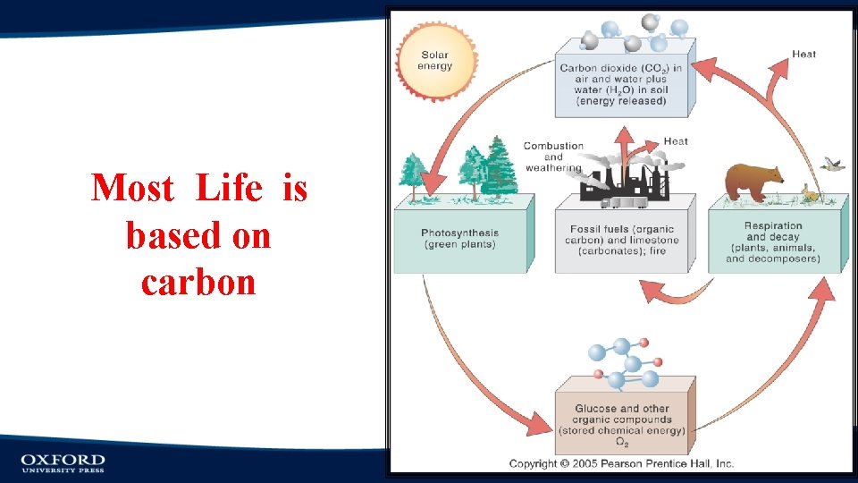Most Life is based on carbon 