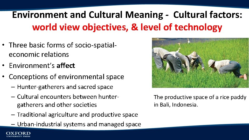 Environment and Cultural Meaning - Cultural factors: world view objectives, & level of technology