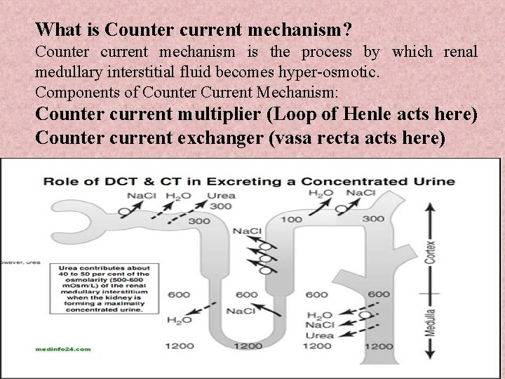 What is Counter current mechanism? Counter current mechanism is the process by which renal