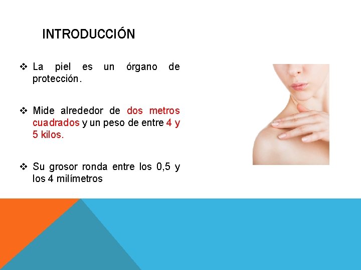 INTRODUCCIÓN v La piel es protección. un órgano de v Mide alrededor de dos INTRODUCCIÓN v La piel es protección. un órgano de v Mide alrededor de dos
