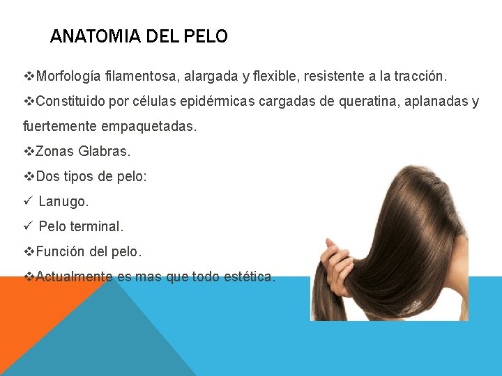 ANATOMIA DEL PELO v. Morfología filamentosa, alargada y flexible, resistente a la tracción. v. ANATOMIA DEL PELO v. Morfología filamentosa, alargada y flexible, resistente a la tracción. v.