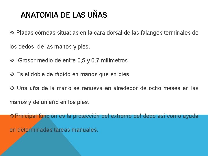 ANATOMIA DE LAS UÑAS v Placas córneas situadas en la cara dorsal de las ANATOMIA DE LAS UÑAS v Placas córneas situadas en la cara dorsal de las