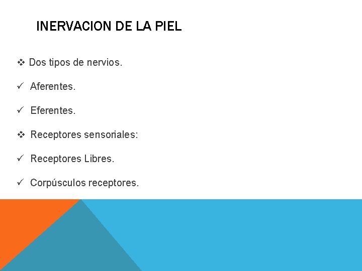 INERVACION DE LA PIEL v Dos tipos de nervios. ü Aferentes. ü Eferentes. v INERVACION DE LA PIEL v Dos tipos de nervios. ü Aferentes. ü Eferentes. v