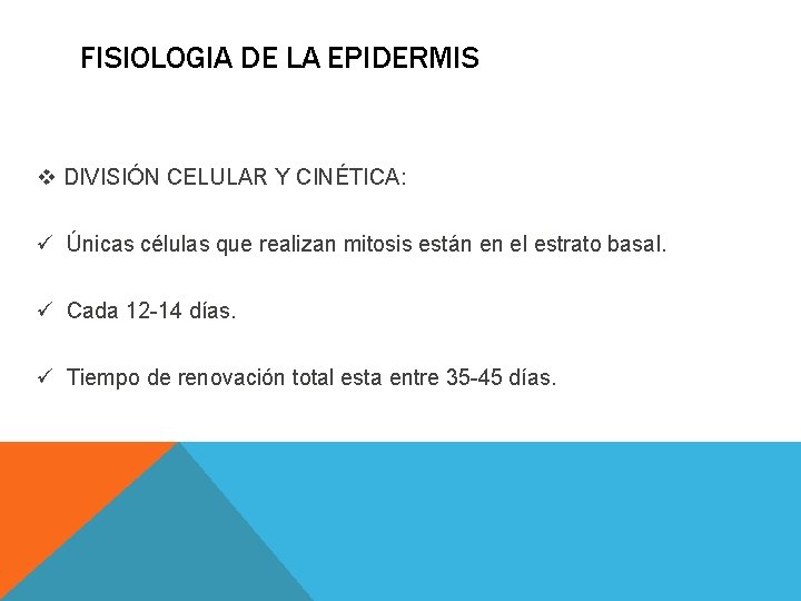 FISIOLOGIA DE LA EPIDERMIS v DIVISIÓN CELULAR Y CINÉTICA: ü Únicas células que realizan FISIOLOGIA DE LA EPIDERMIS v DIVISIÓN CELULAR Y CINÉTICA: ü Únicas células que realizan