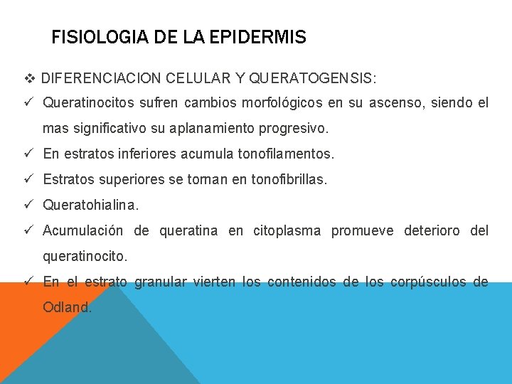 FISIOLOGIA DE LA EPIDERMIS v DIFERENCIACION CELULAR Y QUERATOGENSIS: ü Queratinocitos sufren cambios morfológicos FISIOLOGIA DE LA EPIDERMIS v DIFERENCIACION CELULAR Y QUERATOGENSIS: ü Queratinocitos sufren cambios morfológicos
