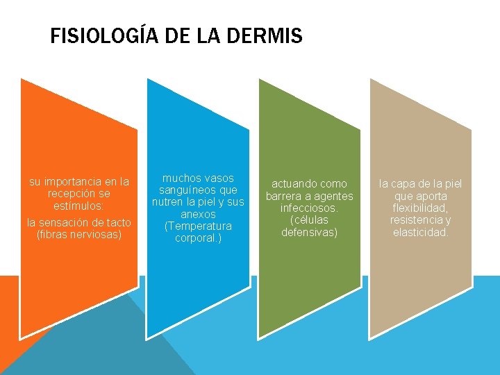 FISIOLOGÍA DE LA DERMIS su importancia en la recepción se estímulos: la sensación de FISIOLOGÍA DE LA DERMIS su importancia en la recepción se estímulos: la sensación de
