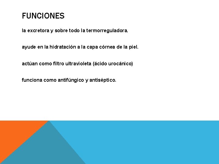 FUNCIONES la excretora y sobre todo la termorreguladora. ayude en la hidratación a la FUNCIONES la excretora y sobre todo la termorreguladora. ayude en la hidratación a la