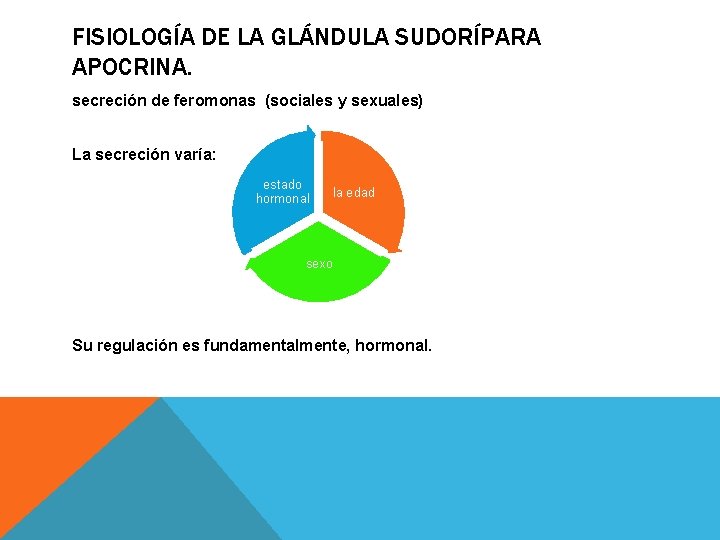 FISIOLOGÍA DE LA GLÁNDULA SUDORÍPARA APOCRINA. secreción de feromonas (sociales y sexuales) La secreción FISIOLOGÍA DE LA GLÁNDULA SUDORÍPARA APOCRINA. secreción de feromonas (sociales y sexuales) La secreción