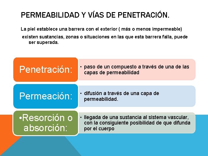 PERMEABILIDAD Y VÍAS DE PENETRACIÓN. La piel establece una barrera con el exterior ( PERMEABILIDAD Y VÍAS DE PENETRACIÓN. La piel establece una barrera con el exterior (