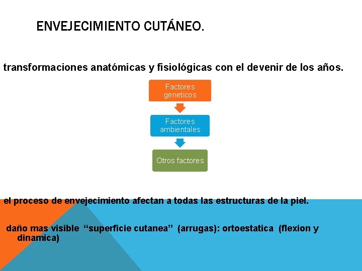 ENVEJECIMIENTO CUTÁNEO. transformaciones anatómicas y fisiológicas con el devenir de los años. Factores geneticos ENVEJECIMIENTO CUTÁNEO. transformaciones anatómicas y fisiológicas con el devenir de los años. Factores geneticos