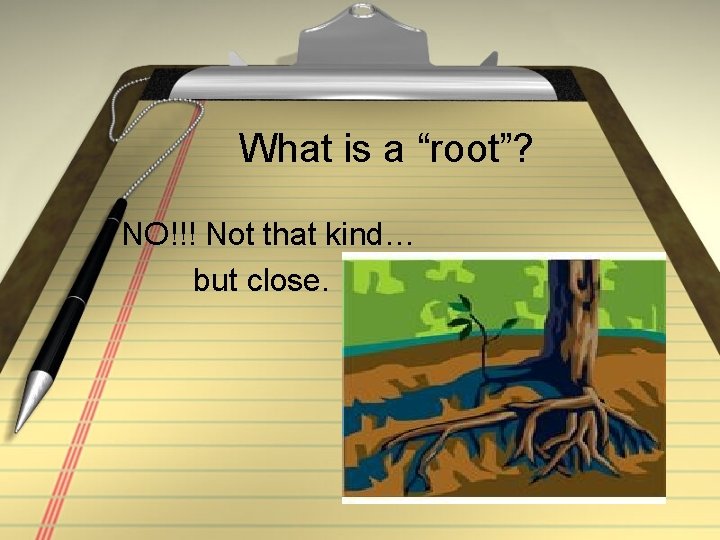 What is a “root”? NO!!! Not that kind… but close. 