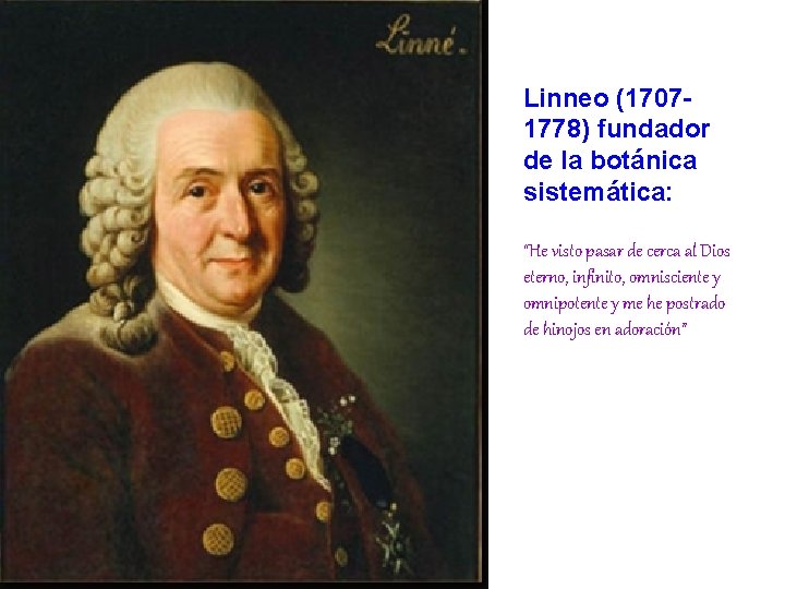 Linneo (17071778) fundador de la botánica sistemática: “He visto pasar de cerca al Dios