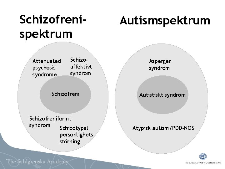 Schizofrenispektrum Attenuated psychosis syndrome Schizoaffektivt syndrom Schizofreniformt syndrom Schizotypal personlighets störning Autismspektrum Asperger syndrom