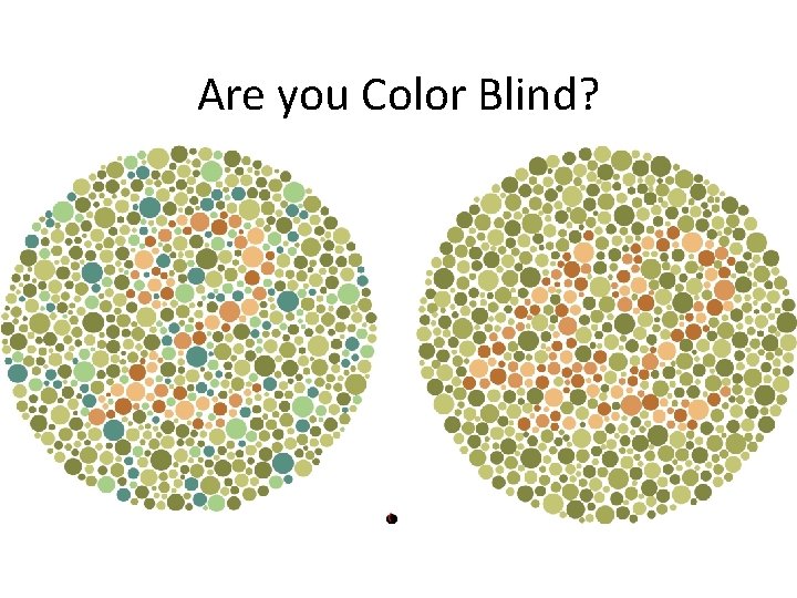 Are you Color Blind? 