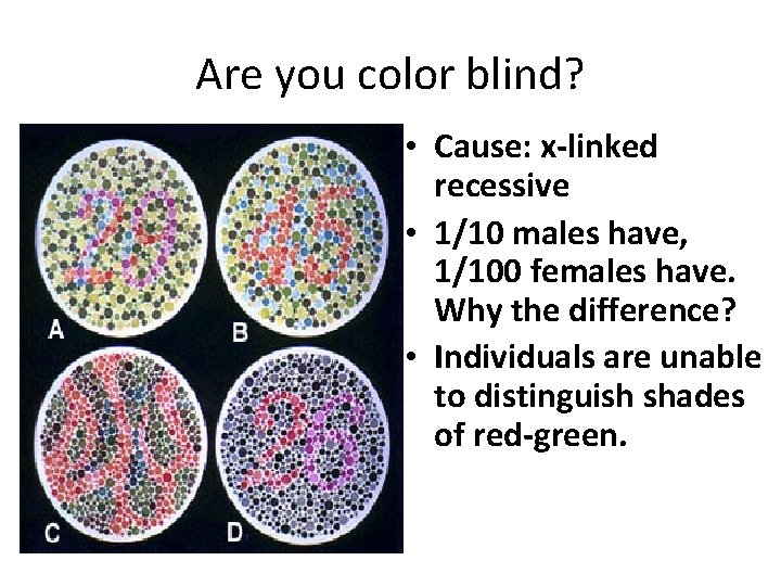 Are you color blind? • Cause: x-linked recessive • 1/10 males have, 1/100 females