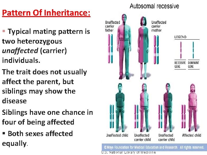 Pattern Of Inheritance: § Typical mating pattern is two heterozygous unaffected (carrier) individuals. The