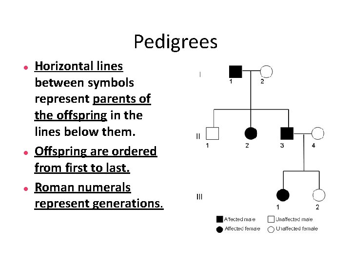 Pedigrees Horizontal lines between symbols represent parents of the offspring in the lines below