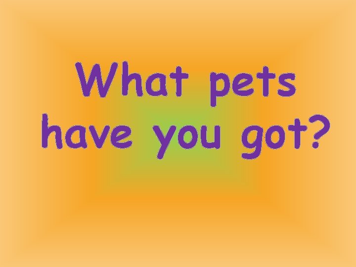 What pets have you got? 