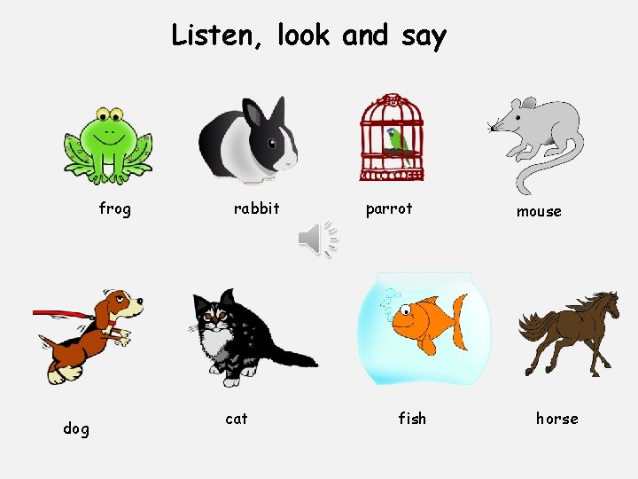 Listen, look and say frog dog rabbit cat parrot fish mouse horse 