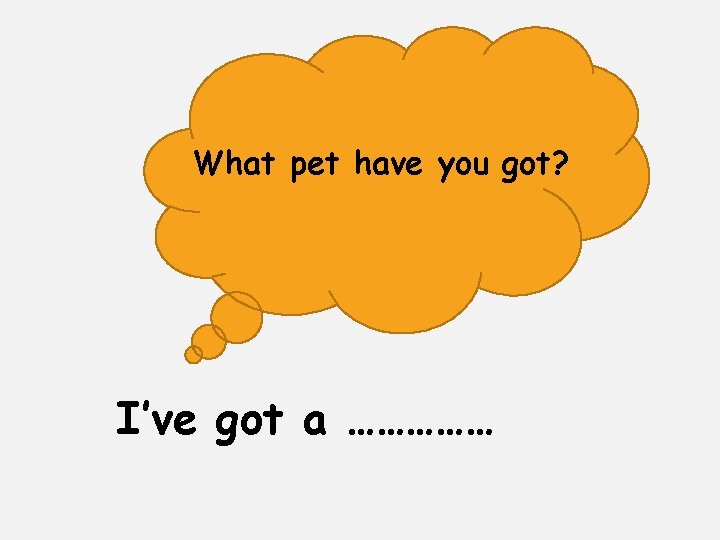 What pet have you got? I’ve got a …………… 