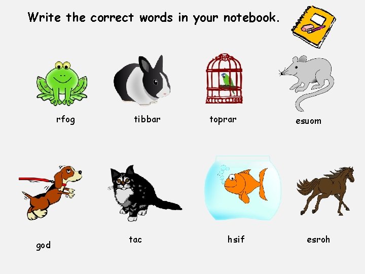 Write the correct words in your notebook. rfog god tibbar tac toprar hsif esuom