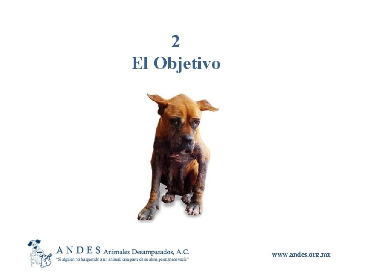 2 El Objetivo www. andes. org. mx 