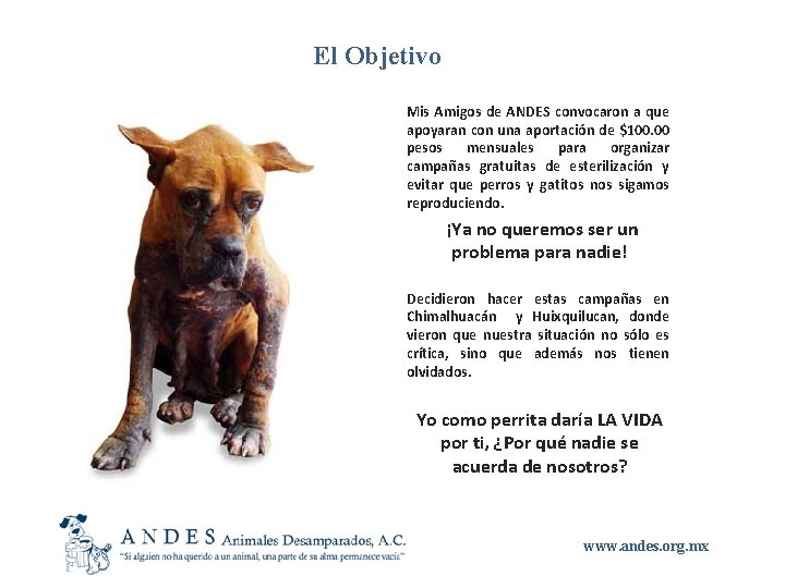 El Objetivo Mis Amigos de ANDES convocaron a que apoyaran con una aportación de