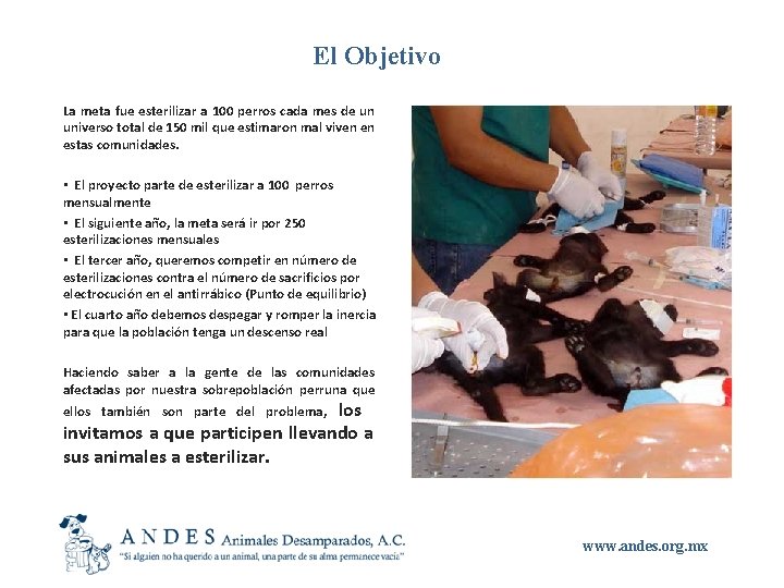 El Objetivo La meta fue esterilizar a 100 perros cada mes de un universo