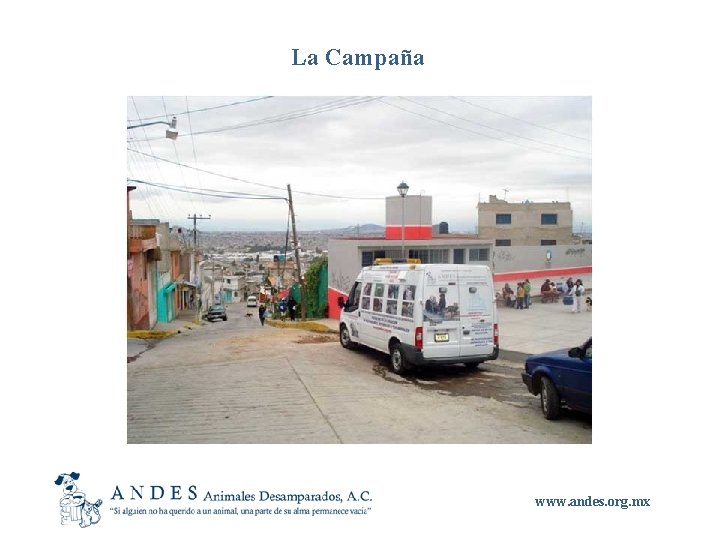 La Campaña www. andes. org. mx 