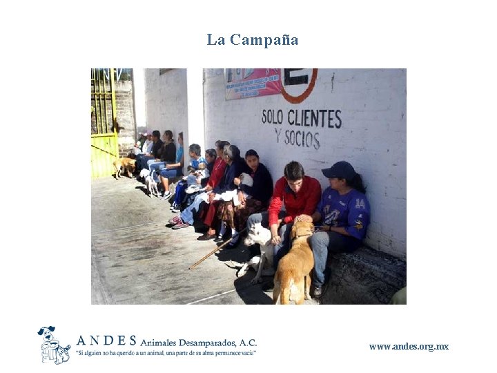 La Campaña www. andes. org. mx 