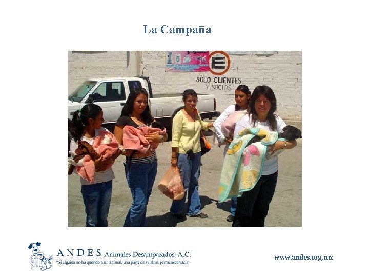 La Campaña www. andes. org. mx 