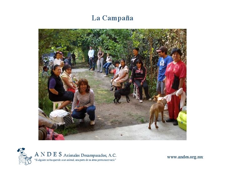 La Campaña www. andes. org. mx 