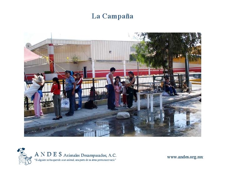 La Campaña www. andes. org. mx 