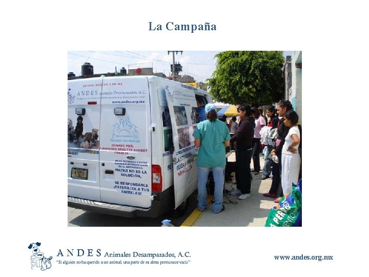 La Campaña www. andes. org. mx 