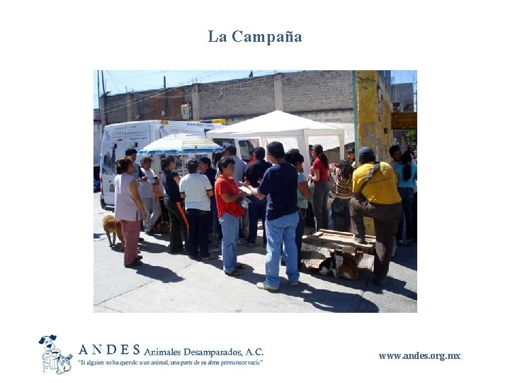 La Campaña www. andes. org. mx 